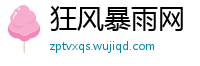 狂风暴雨网